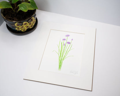 Original Chives Painting (Herb Collection) Emilie Taylor Art