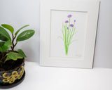 Original Chives Painting (Herb Collection) Emilie Taylor Art