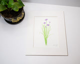 Original Chives Painting (Herb Collection) Emilie Taylor Art
