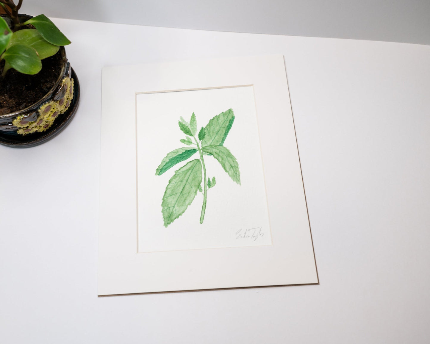 Original Mint Painting (Herb Collection) Emilie Taylor Art