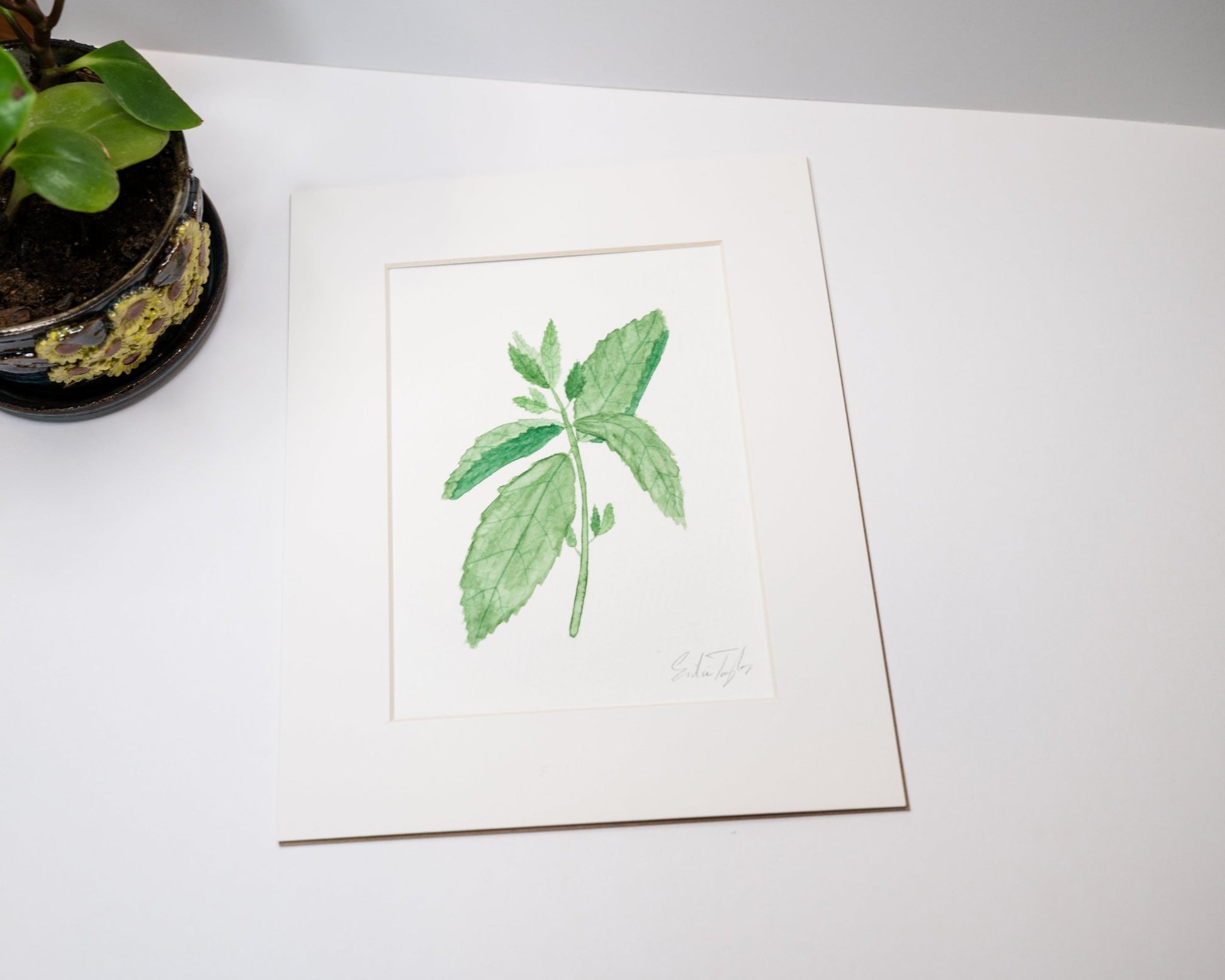 Original Mint Painting (Herb Collection) Emilie Taylor Art