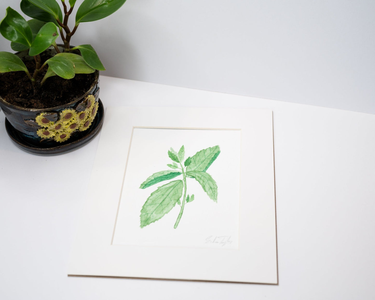 Original Mint Painting (Herb Collection) Emilie Taylor Art