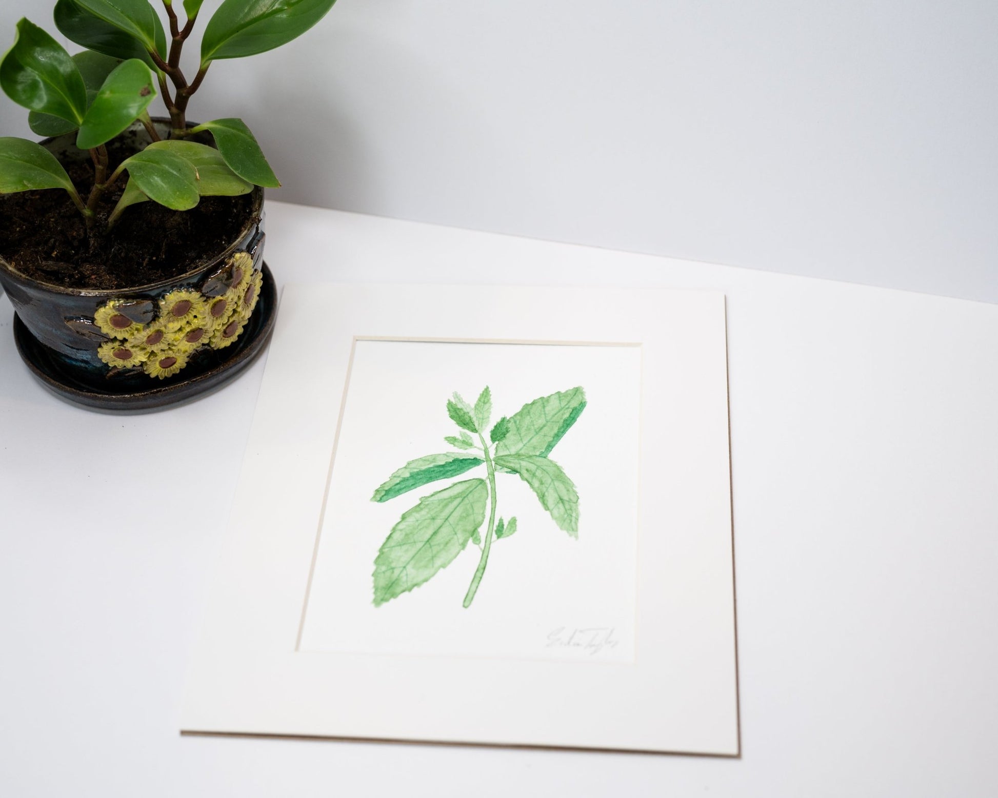 Original Mint Painting (Herb Collection) Emilie Taylor Art
