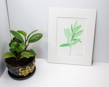 Original Sage Painting (Herb Collection) Emilie Taylor Art