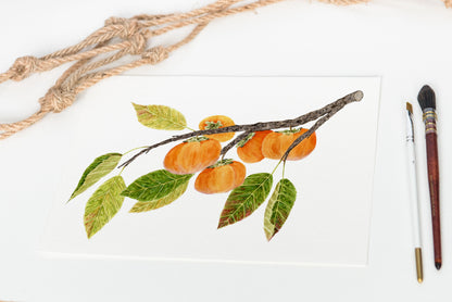 Fuyu Persimmon Print | Watercolor fruit tree Painting