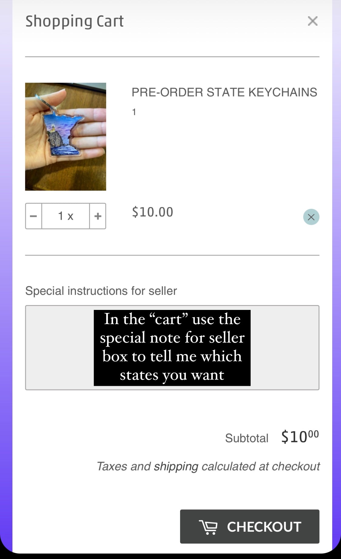 PRE - ORDER STATE KEYCHAINS Emilie Taylor Art