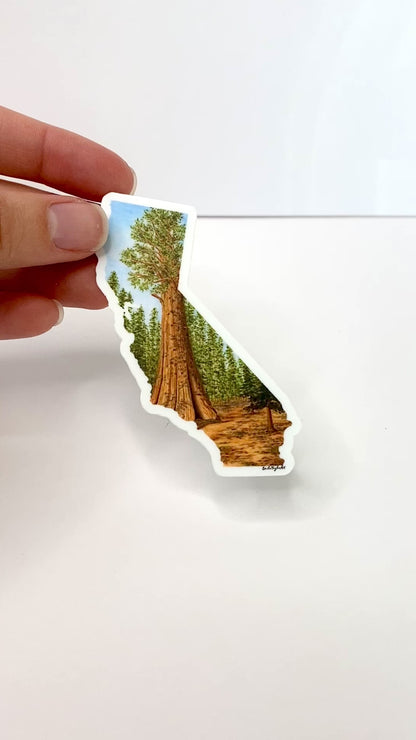 California Sticker, Sequoia National Park Sticker, Watercolor California Sticker, CA Car Decal