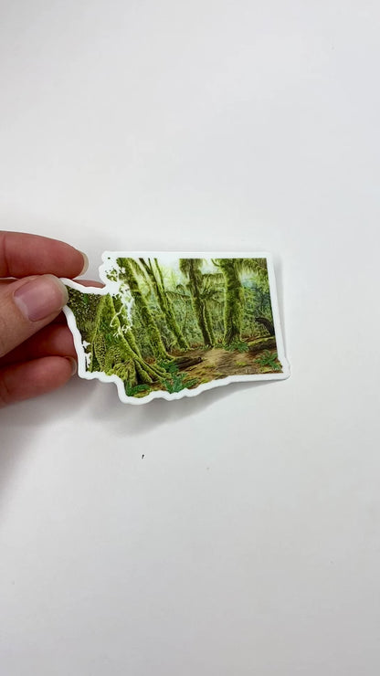 Washington Olympic National Park Decal, Watercolor Washington Sticker, Hoh Rainforest Hall of Mosses