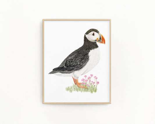 Puffin and Sea Thrift Print | Watercolor Puffin Painting