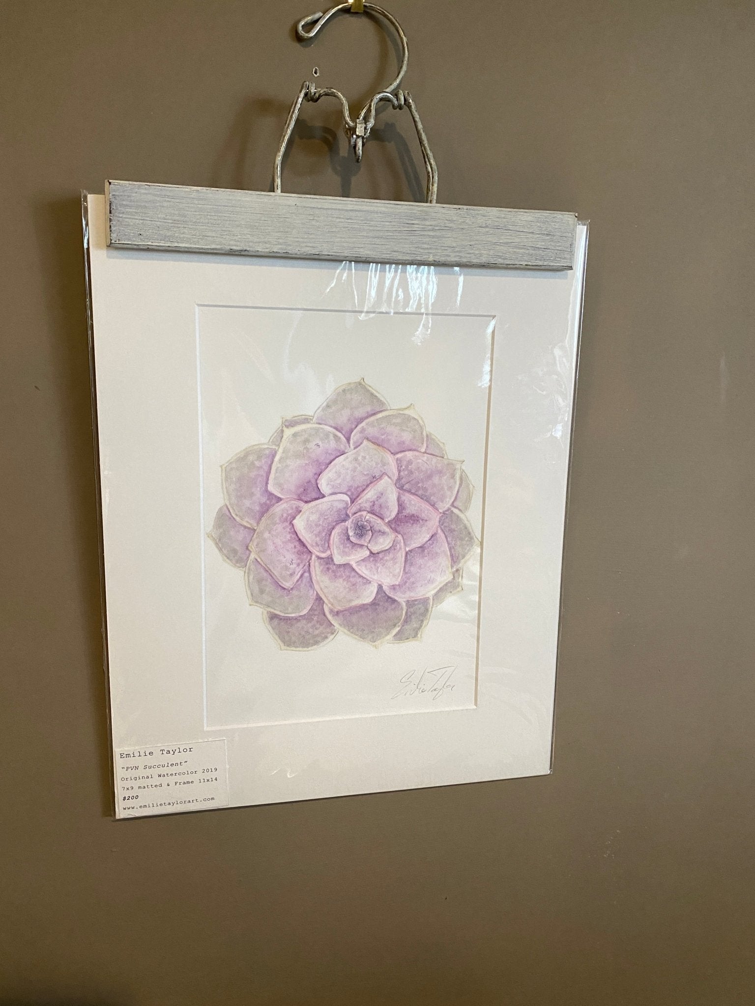 PVN Succulent Original Painting Mated to size 11x14 Emilie Taylor Art