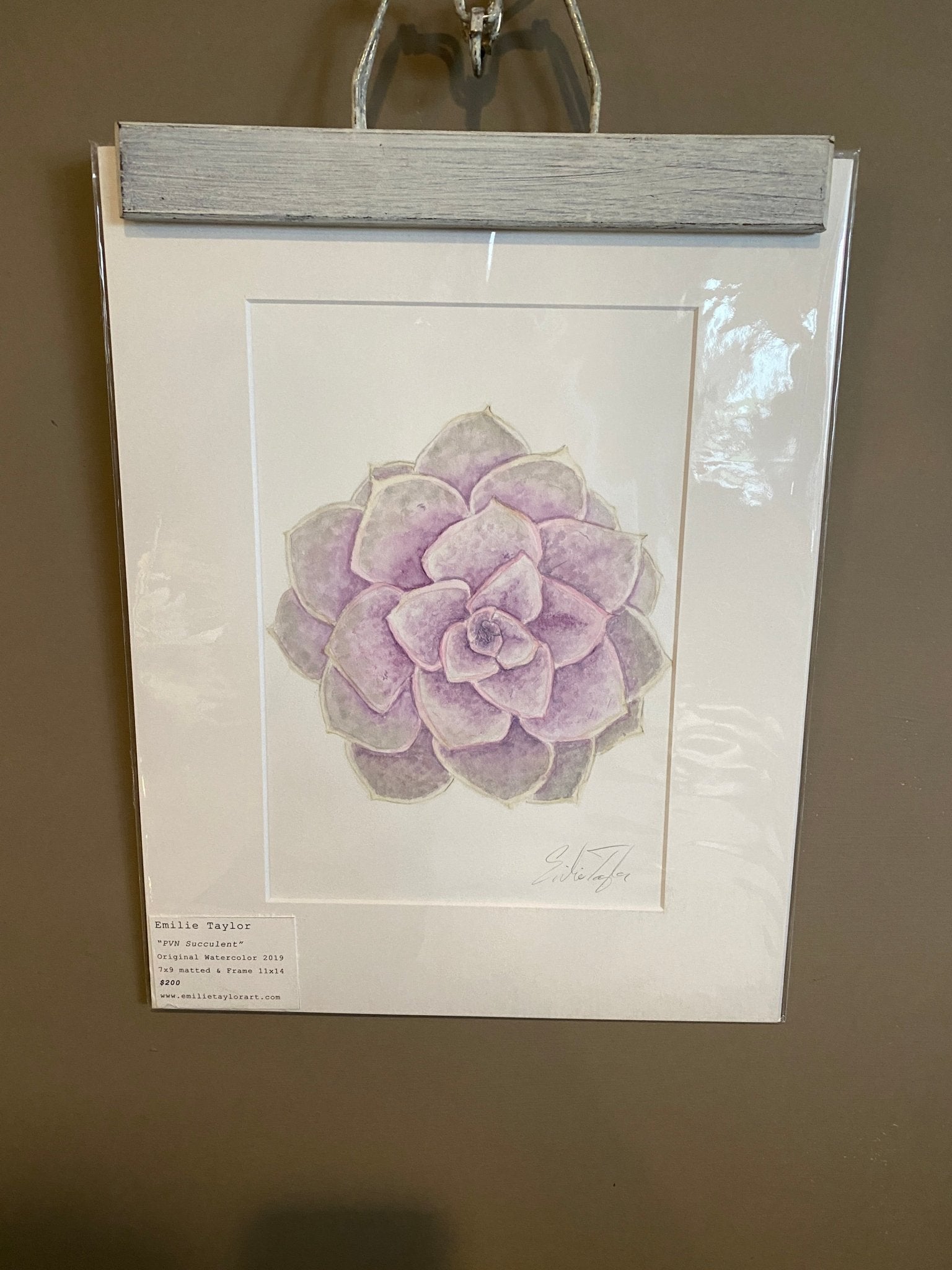 PVN Succulent Original Painting Mated to size 11x14 Emilie Taylor Art