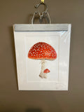 Red Cap Mushroom Original Painting Mated to size 11x14 Emilie Taylor Art