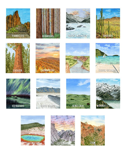 Redwoods National Park Watercolor Art Print | California Park Posters Emilie Taylor Art