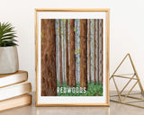 Redwoods National Park Watercolor Art Print | California Park Posters Emilie Taylor Art