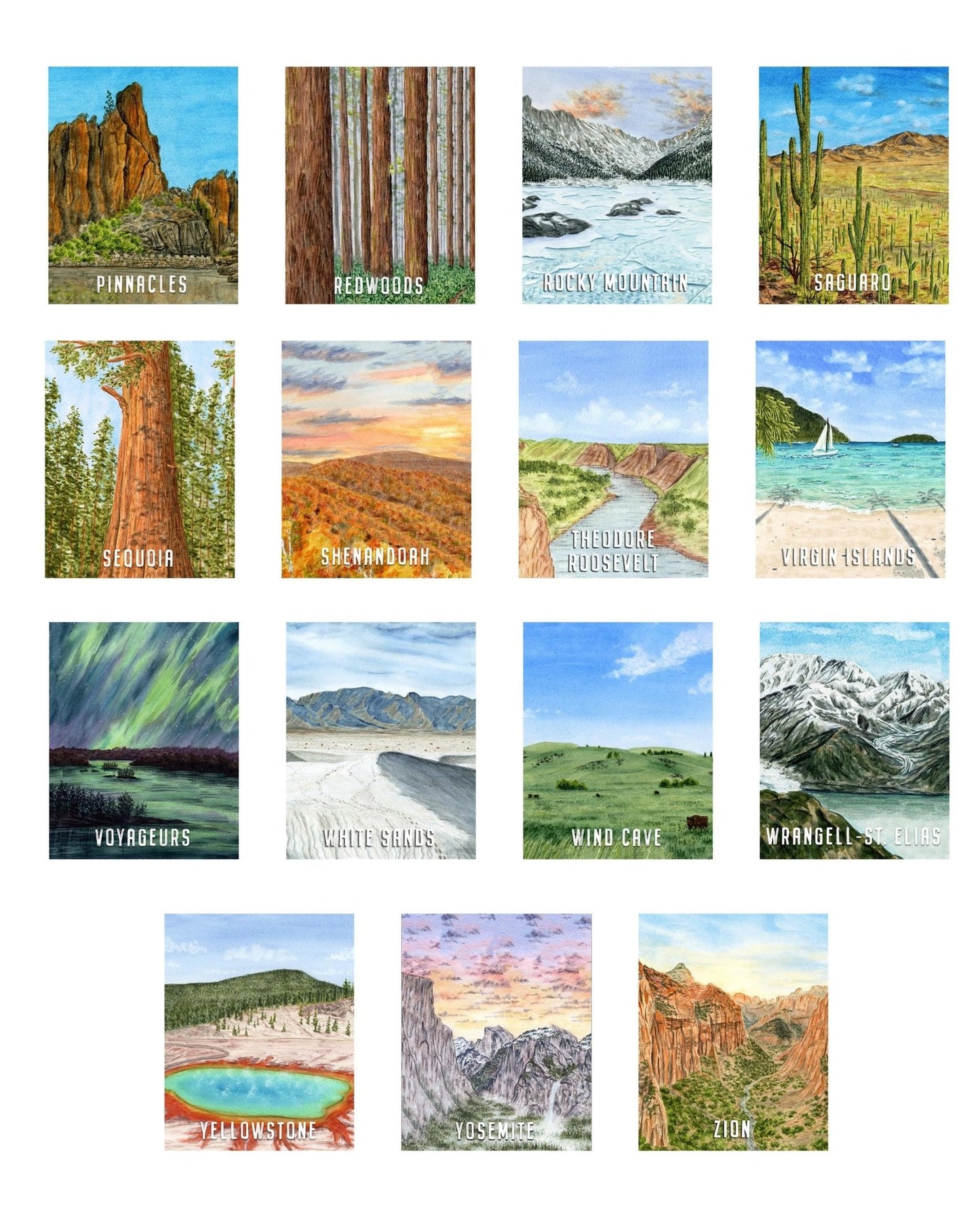 Saguaro National Park Print | Saguaro Poster | Arizona Parks | National Park Posters | Watercolor Art of National Parks Emilie Taylor Art
