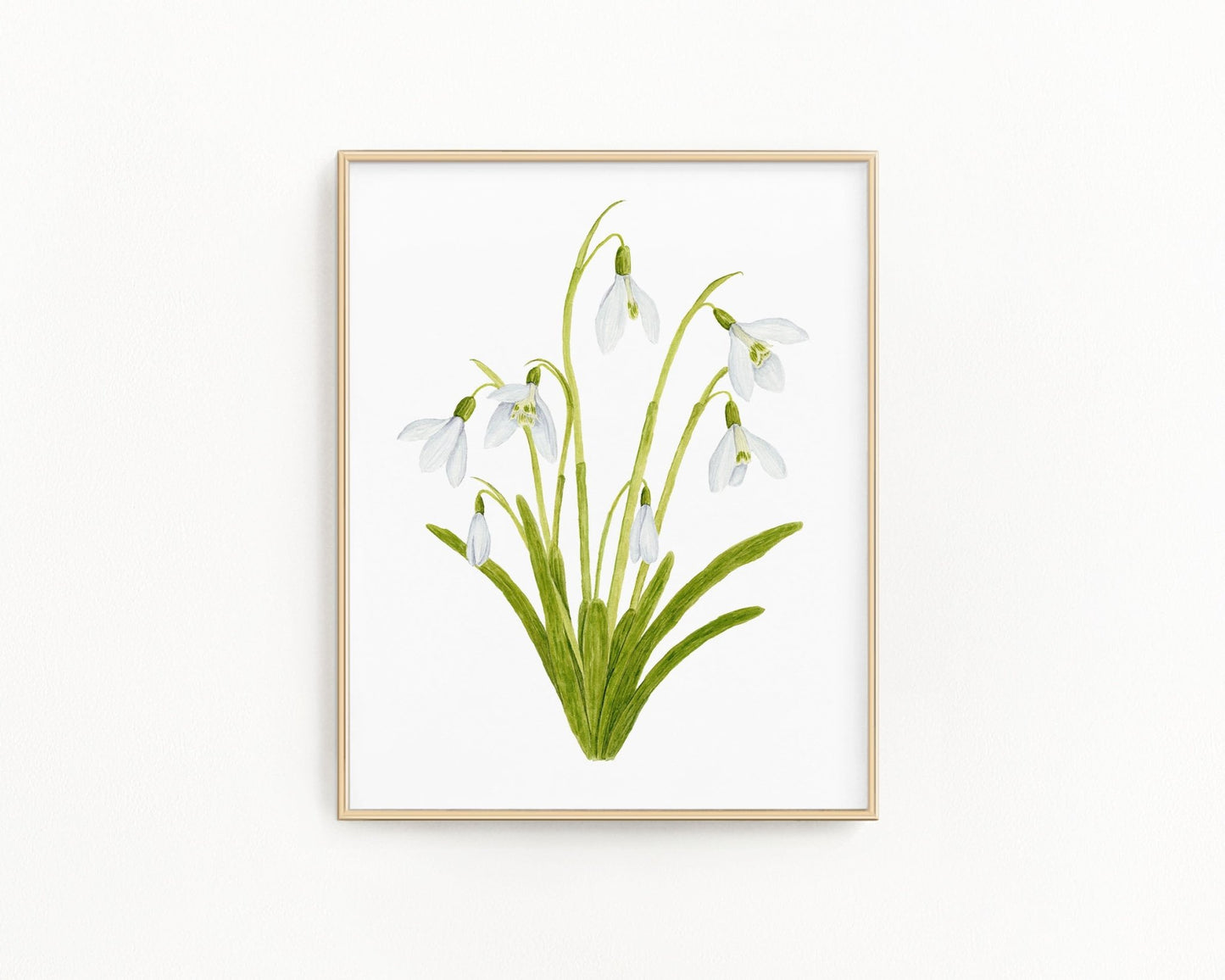 Snowdrop Print| Watercolor Snowdrops Painting, January Birth Flower Emilie Taylor Art