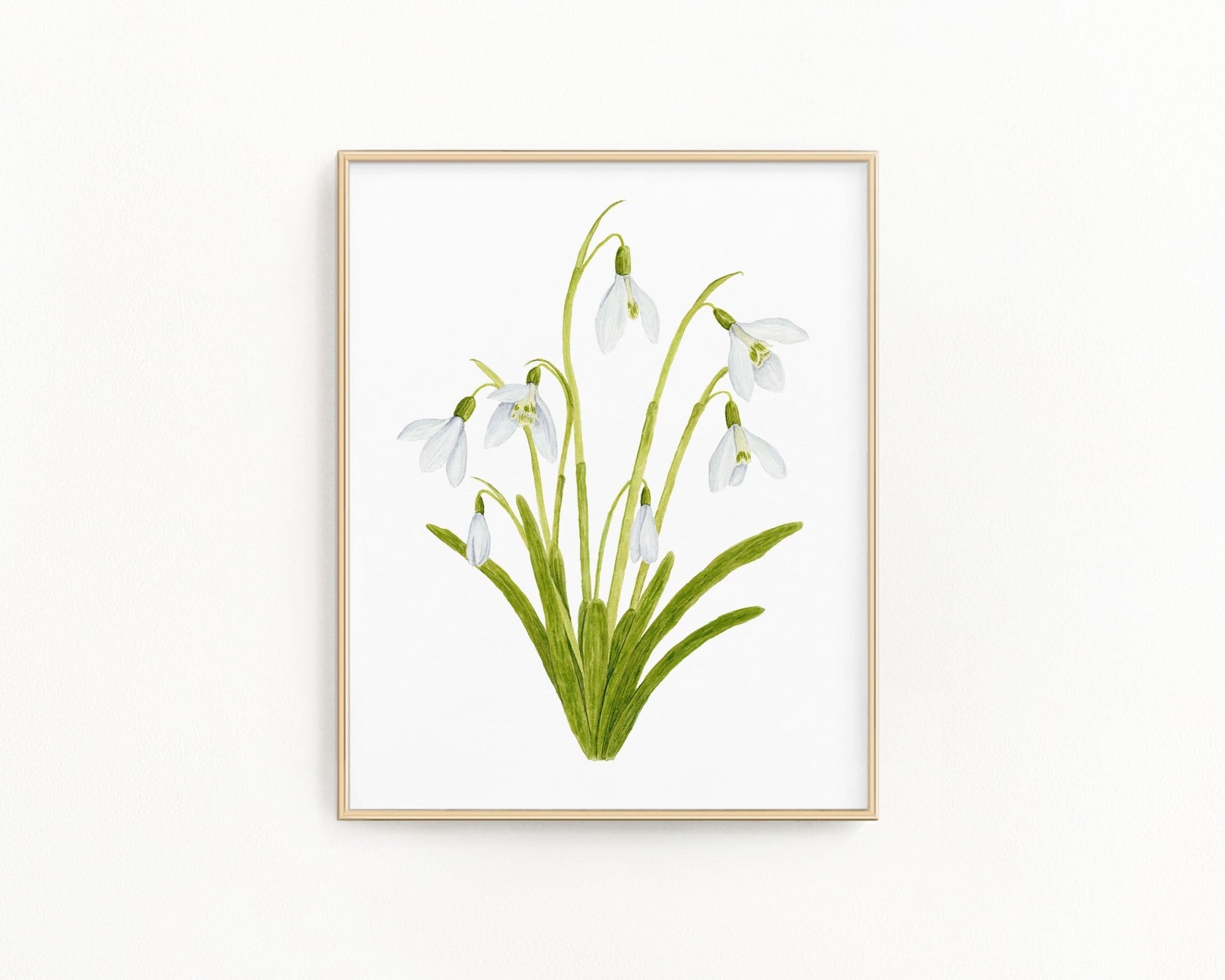 Snowdrop Print| Watercolor Snowdrops Painting, January Birth Flower Emilie Taylor Art