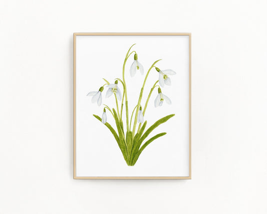 Snowdrop Print| Watercolor Snowdrops Painting, January Birth Flower Emilie Taylor Art