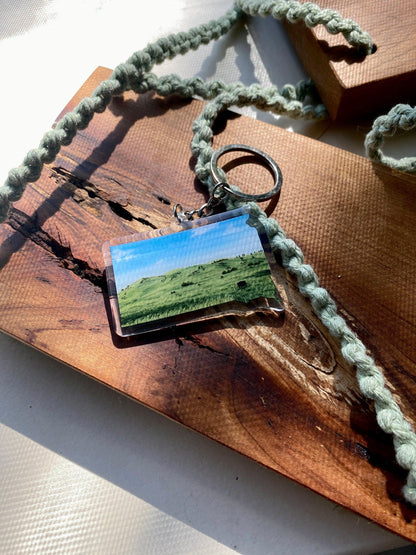 South Dakota Wind Cave National Park Keychain, Wind Cave South Dakota Buffalo, SD keychain Souvenirs Emilie Taylor Art