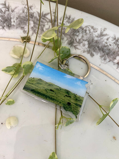 South Dakota Wind Cave National Park Keychain, Wind Cave South Dakota Buffalo, SD keychain Souvenirs Emilie Taylor Art