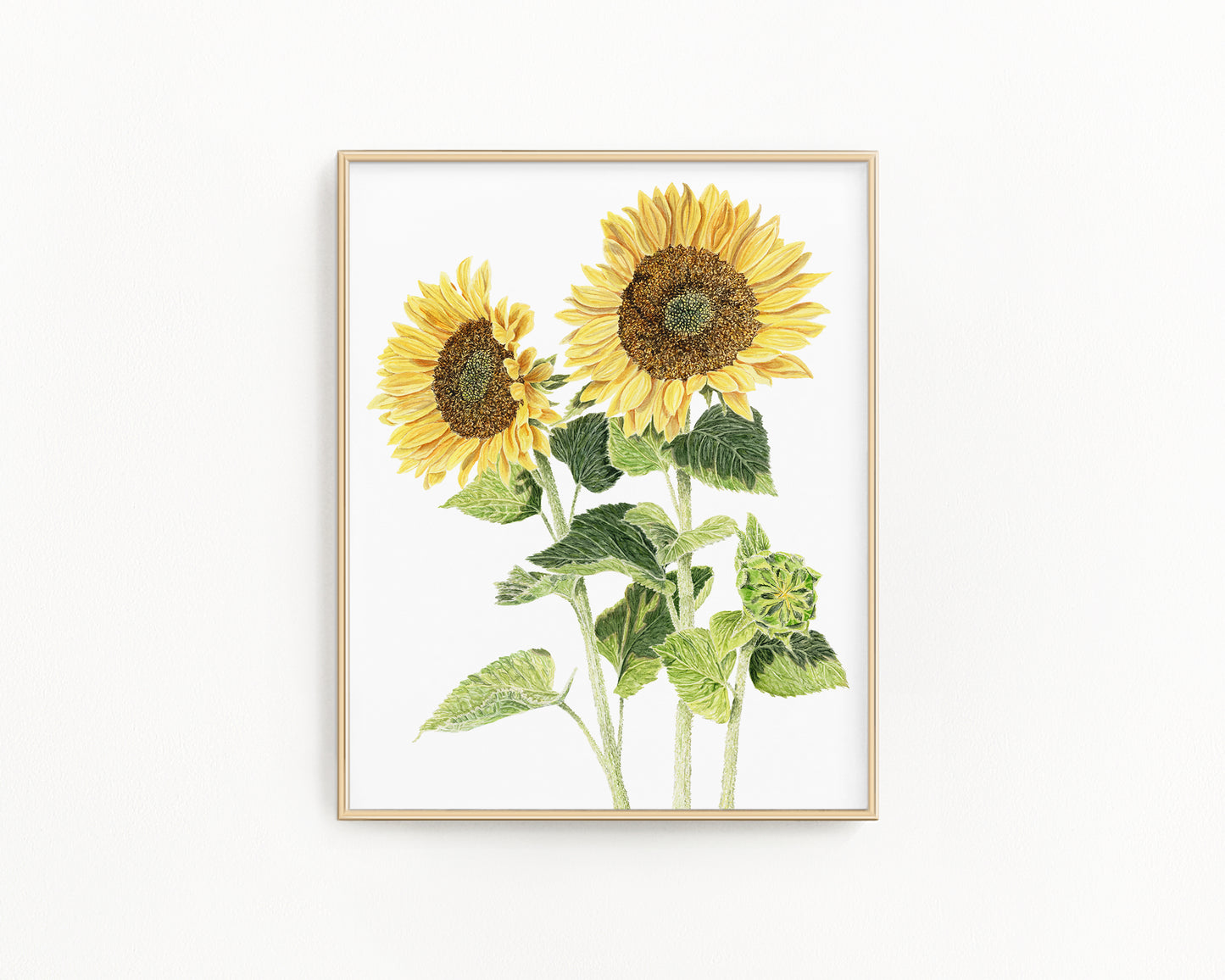Sunflowers Print 2026, Watercolor Sunflowers Painting, Sunny Yellow Florals