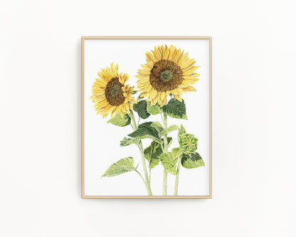 Sunflowers Print 2026, Watercolor Sunflowers Painting, Sunny Yellow Florals