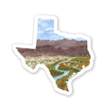 Texas Decal, Watercolor Texas Sticker, TX Car Decal, State Decal, State Sticker, Texas Sticker Emilie Taylor Art