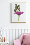 Tiger Swallowtail Butterfly and Zinnia Flower Print | Watercolor Swallowtail Painting Emilie Taylor Art