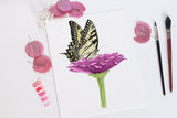 Tiger Swallowtail Butterfly and Zinnia Flower Print | Watercolor Swallowtail Painting Emilie Taylor Art