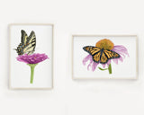 Tiger Swallowtail Butterfly and Zinnia Flower Print | Watercolor Swallowtail Painting Emilie Taylor Art