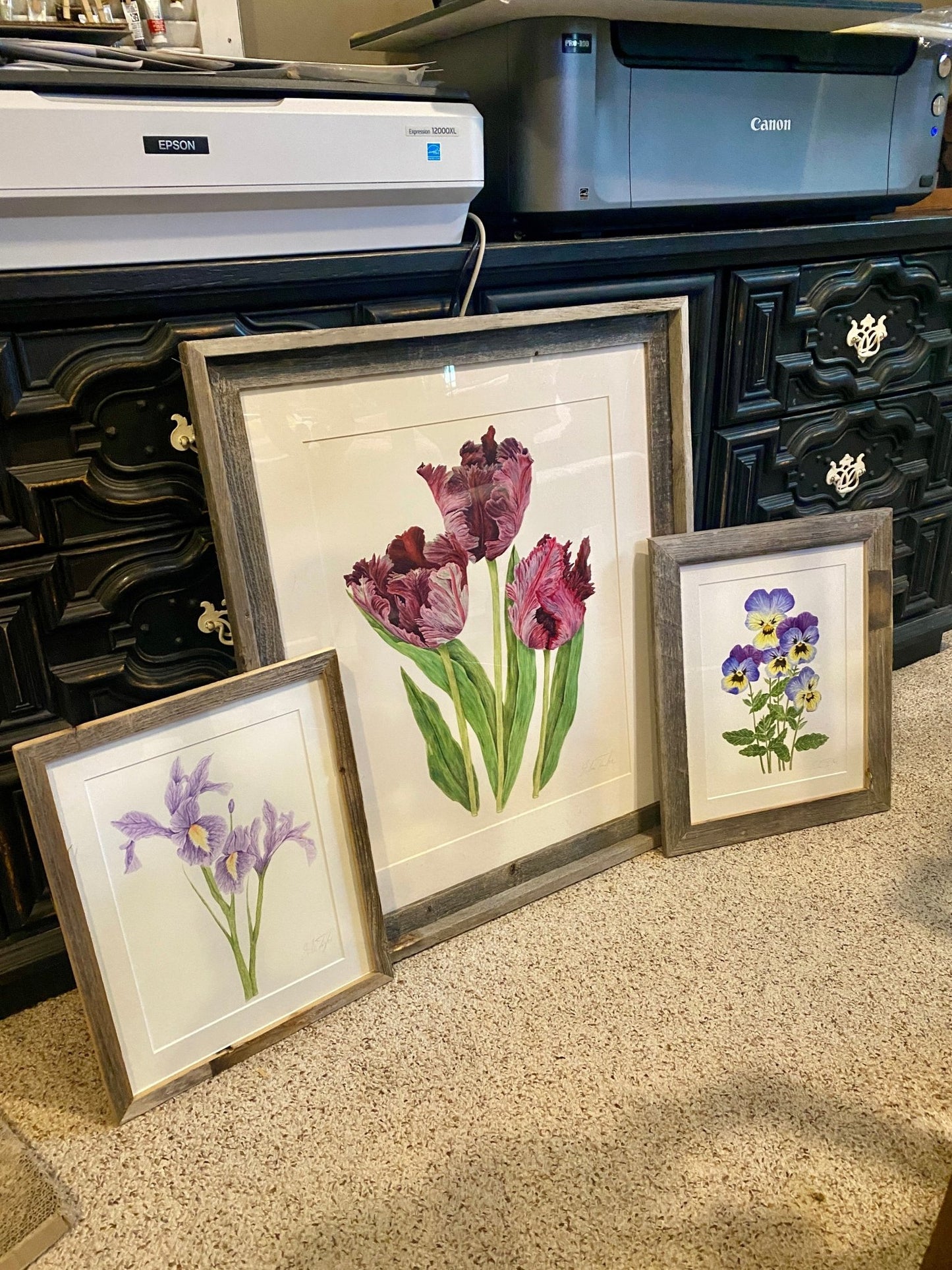 Tulips Black Parrot Print| Watercolor Tulips Painting, Black Parrot Tulips Emilie Taylor Art