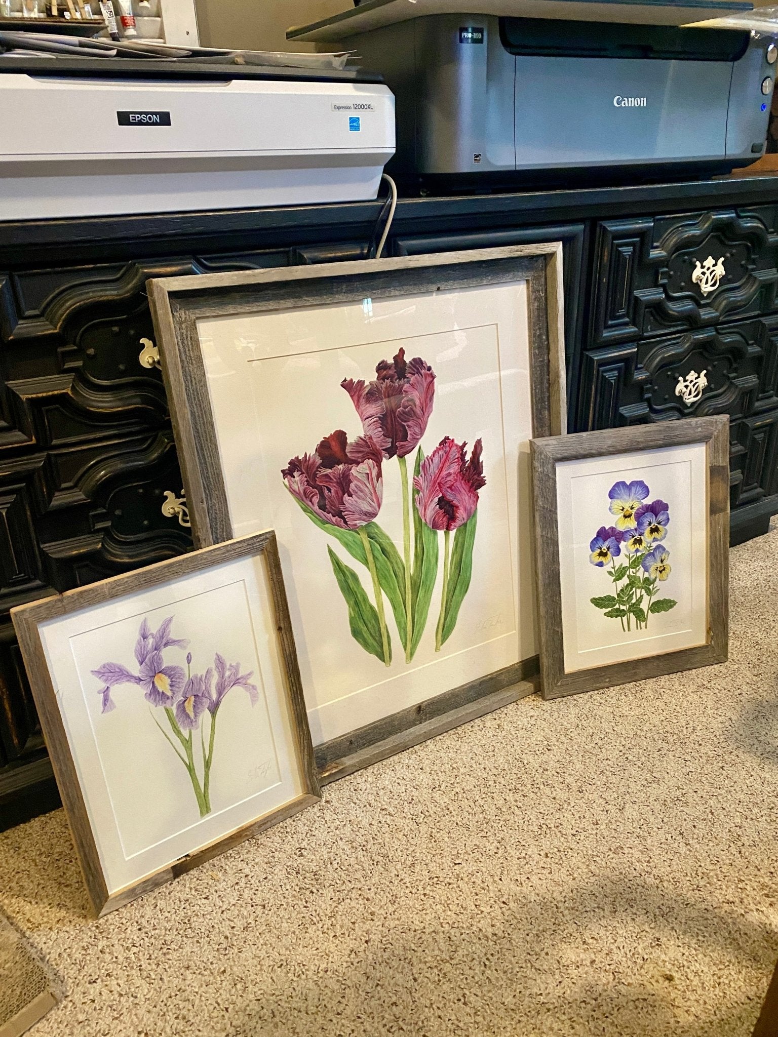 Tulips Black Parrot Print| Watercolor Tulips Painting, Black Parrot Tulips Emilie Taylor Art