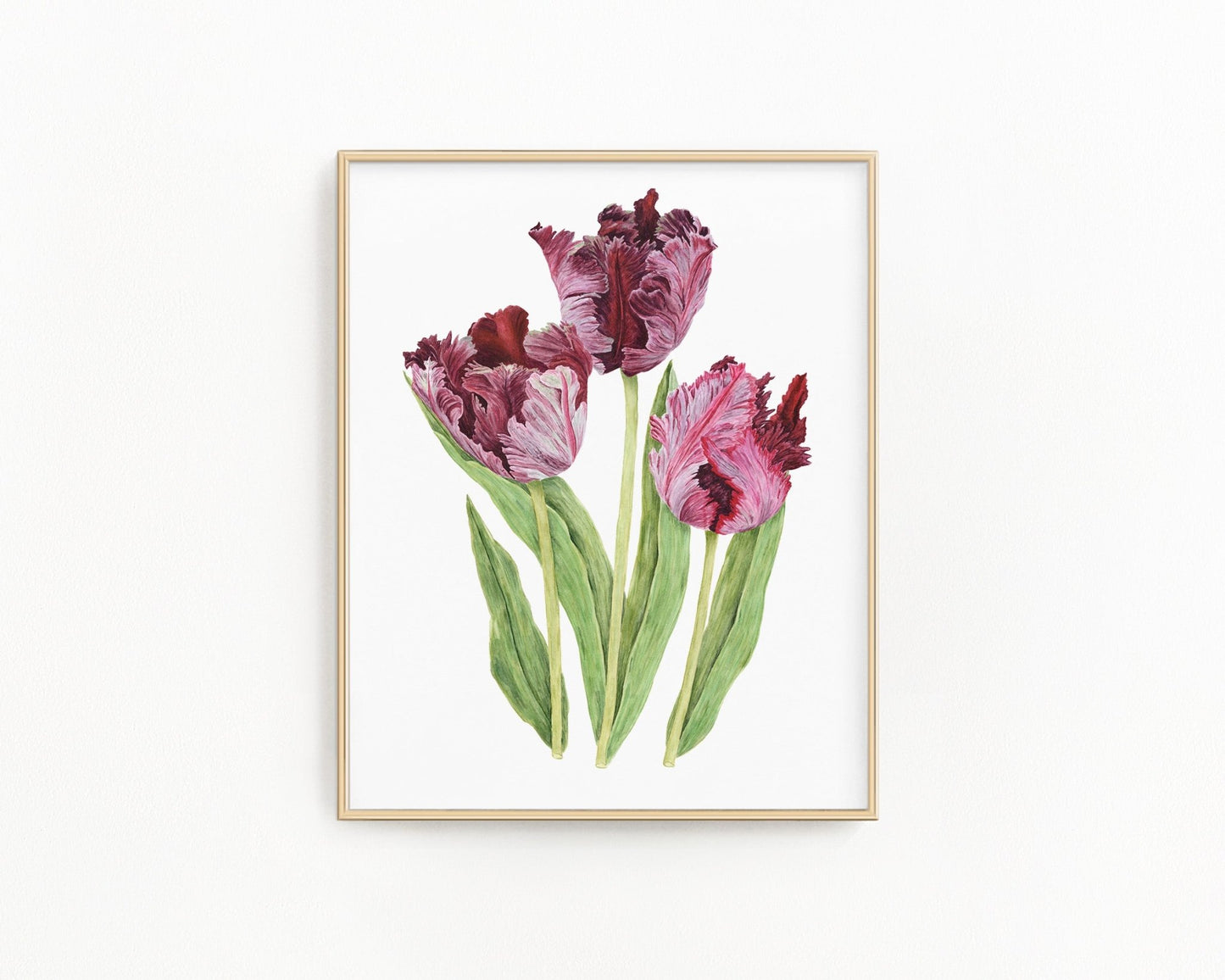 Tulips Black Parrot Print| Watercolor Tulips Painting, Black Parrot Tulips Emilie Taylor Art