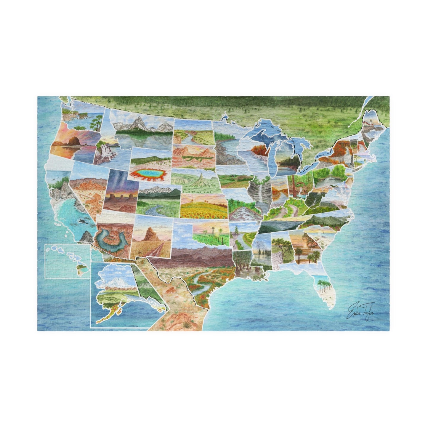 USA Map Puzzle (500, 1014 - piece) Emilie Taylor Art