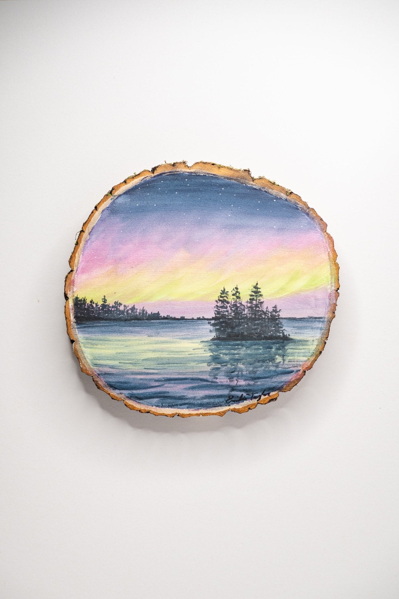 Vibrant Voyage Emilie Taylor Art