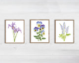 Violet Print| Watercolor Violet Painting, Multicolor Violets|  February Birth Flower