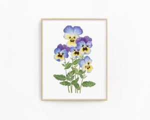 Violet Print| Watercolor Violet Painting, Multicolor Violets|  February Birth Flower
