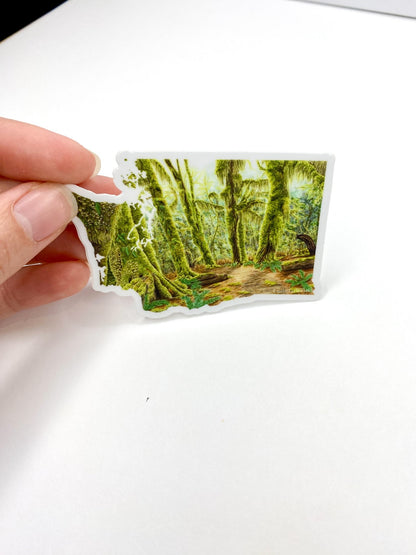 Washington Olympic National Park Decal, Watercolor Washington Sticker, Hoh Rainforest Hall of Mosses Emilie Taylor Art