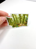 Washington Olympic National Park Decal, Watercolor Washington Sticker, Hoh Rainforest Hall of Mosses Emilie Taylor Art