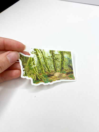 Washington Olympic National Park Decal, Watercolor Washington Sticker, Hoh Rainforest Hall of Mosses Emilie Taylor Art