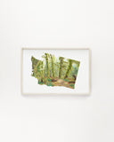 Washington Olympic National Park, Hoh Rainforest, Watercolor Print Emilie Taylor Art