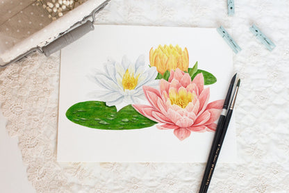 Watercolor Painting of 3 water lillies