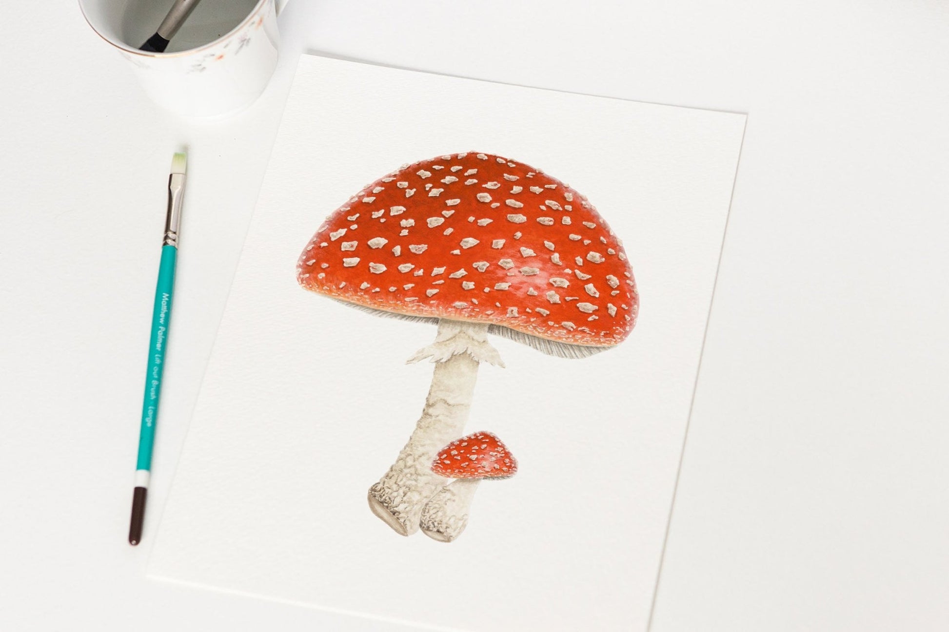 Watercolor Mushroom Painting, Red Capped mushroom print, Red Toadstool, Spotted Mushroom, Print of a Mushroom, Fly Agaric Emilie Taylor Art