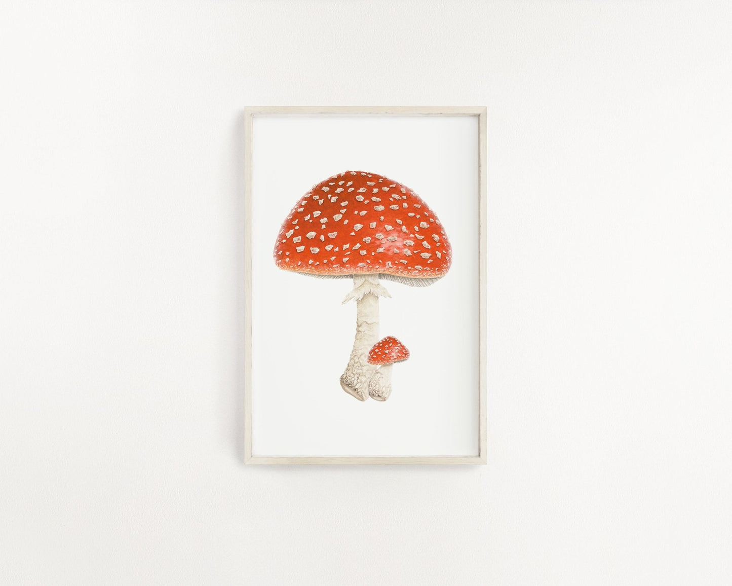 Watercolor Mushroom Painting, Red Capped mushroom print, Red Toadstool, Spotted Mushroom, Print of a Mushroom, Fly Agaric Emilie Taylor Art