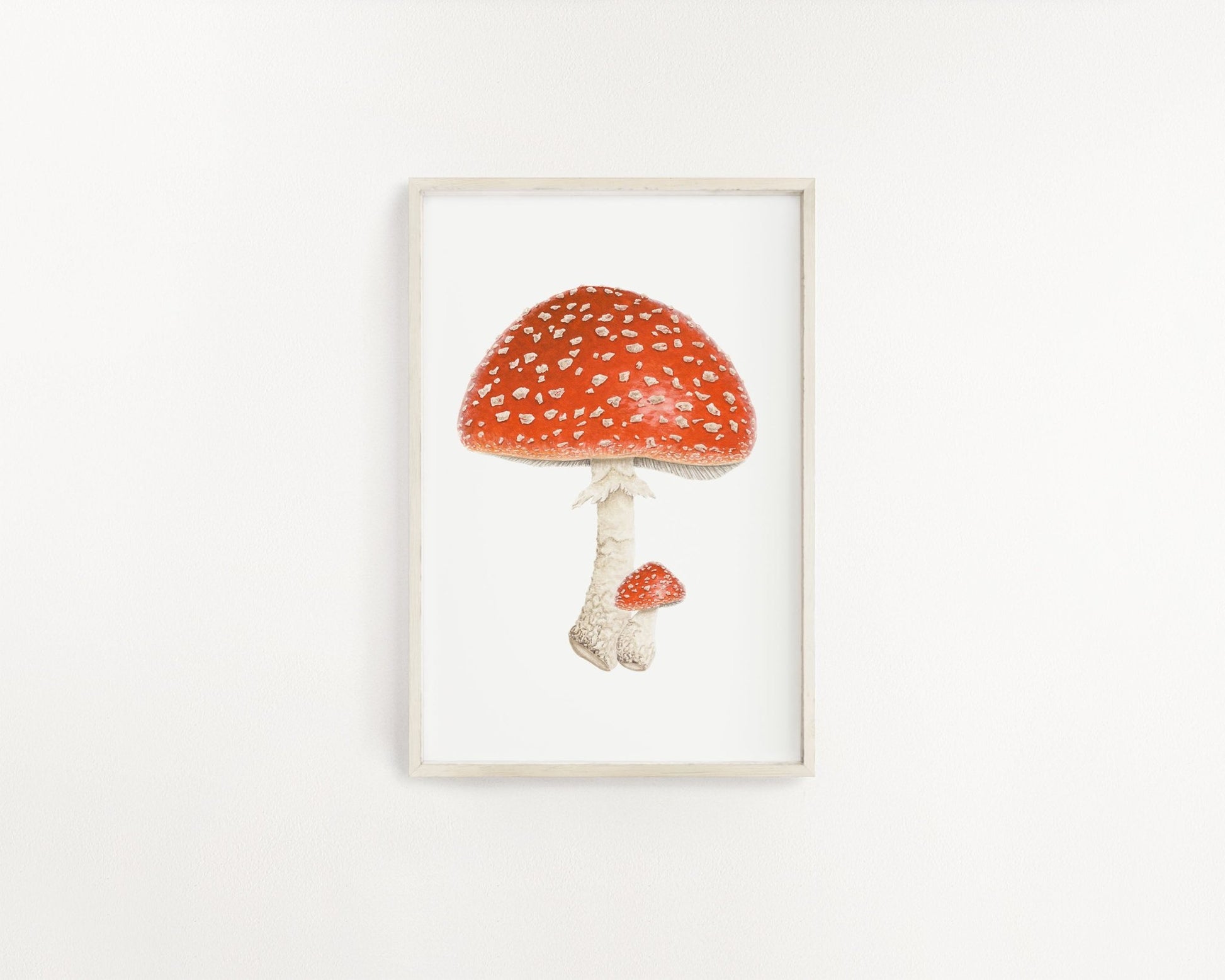 Watercolor Mushroom Painting, Red Capped mushroom print, Red Toadstool, Spotted Mushroom, Print of a Mushroom, Fly Agaric Emilie Taylor Art