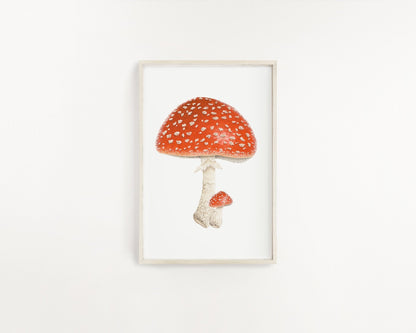 Watercolor Mushroom Painting, Red Capped mushroom print, Red Toadstool, Spotted Mushroom, Print of a Mushroom, Fly Agaric Emilie Taylor Art