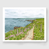 Wild Atlantic Way Limited Edition Print Emilie Taylor Art