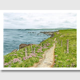 Wild Atlantic Way Limited Edition Print Emilie Taylor Art