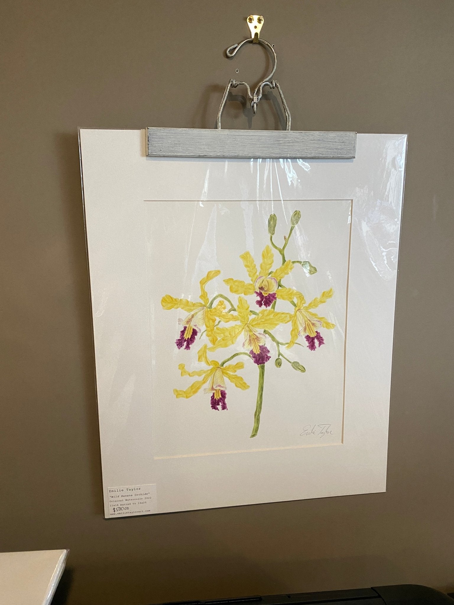 Wild Banana Orchid Original Painting Mated to size 16x20 Emilie Taylor Art