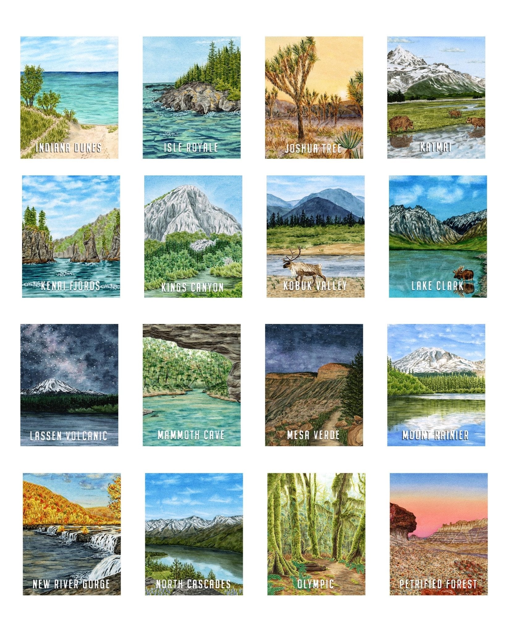 Wind Cave National Park Watercolor Art Print | South Dakota Poster Emilie Taylor Art
